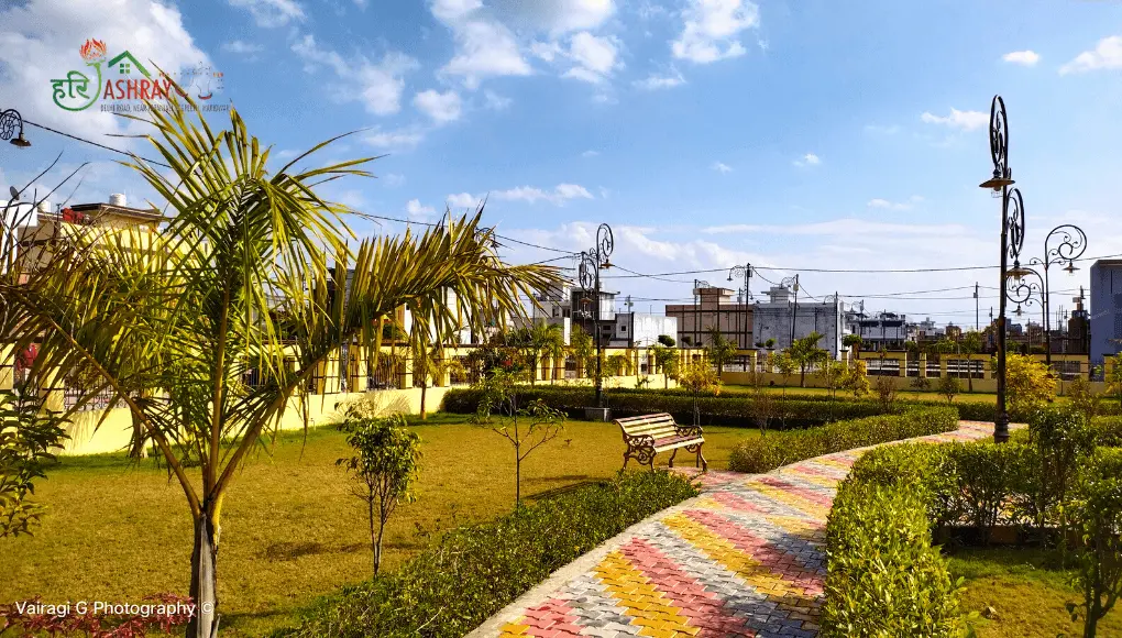 Residential Plots